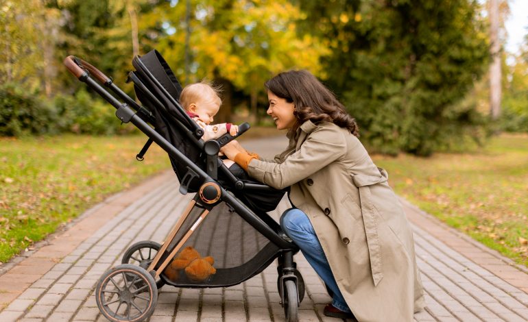Best Baby Strollers for Every Parent
