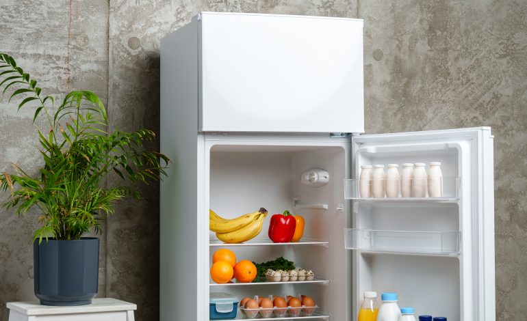 Best Refrigerators for Every Home