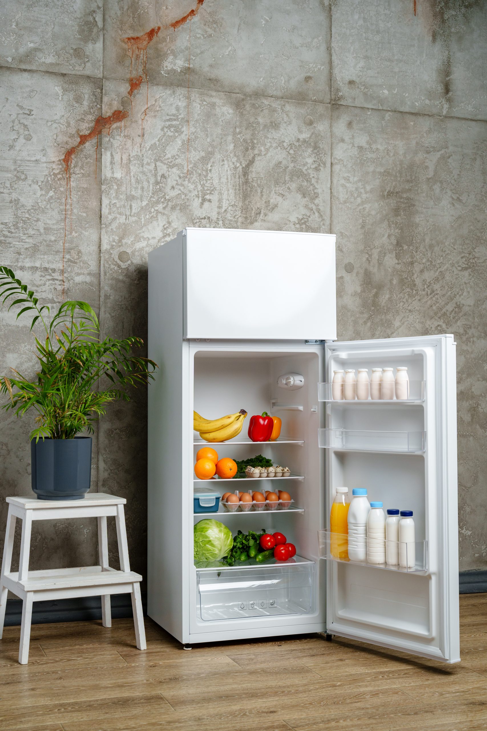 Best Refrigerators for Every Home