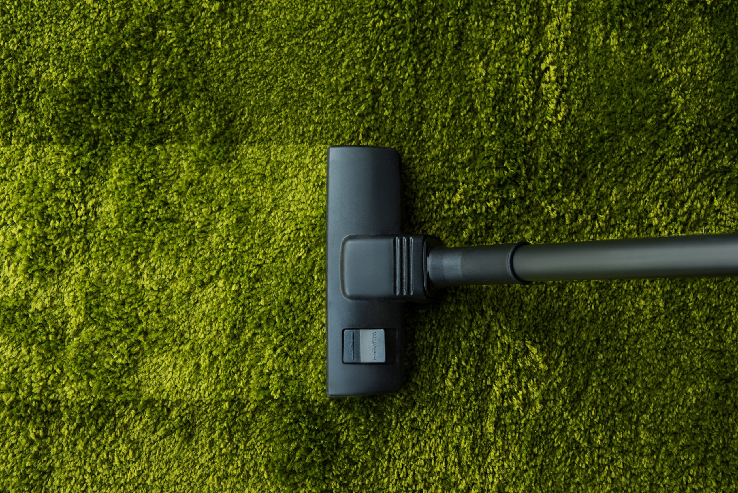 The Best Vacuum Cleaners for Every Home