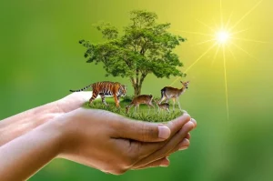 How Organic Food Supports a Healthier Environment