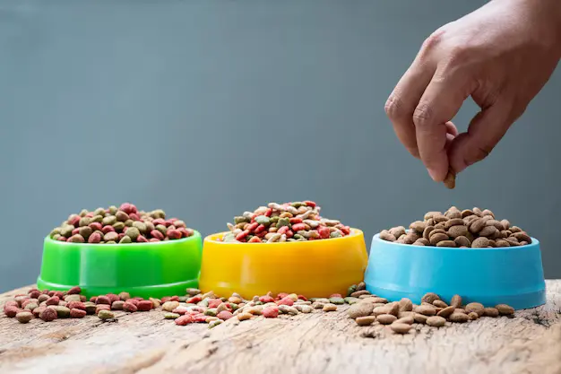 A Complete Guide to the Best Diet for Your Pet
