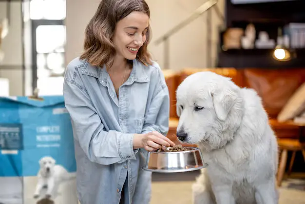 How to Choose the Right Pet Food