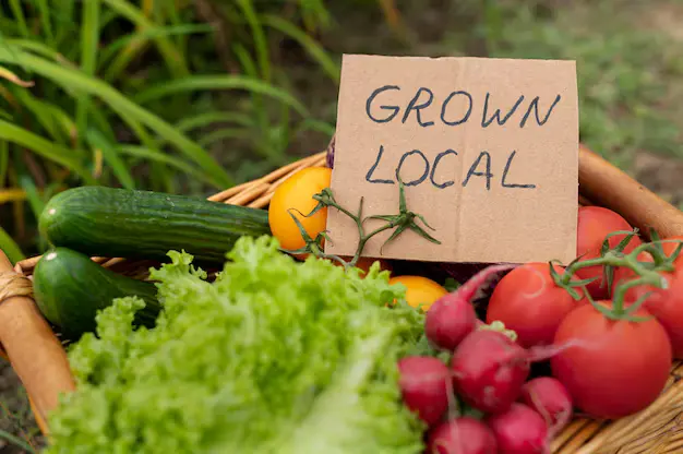 How Organic Food Supports a Healthier Environment